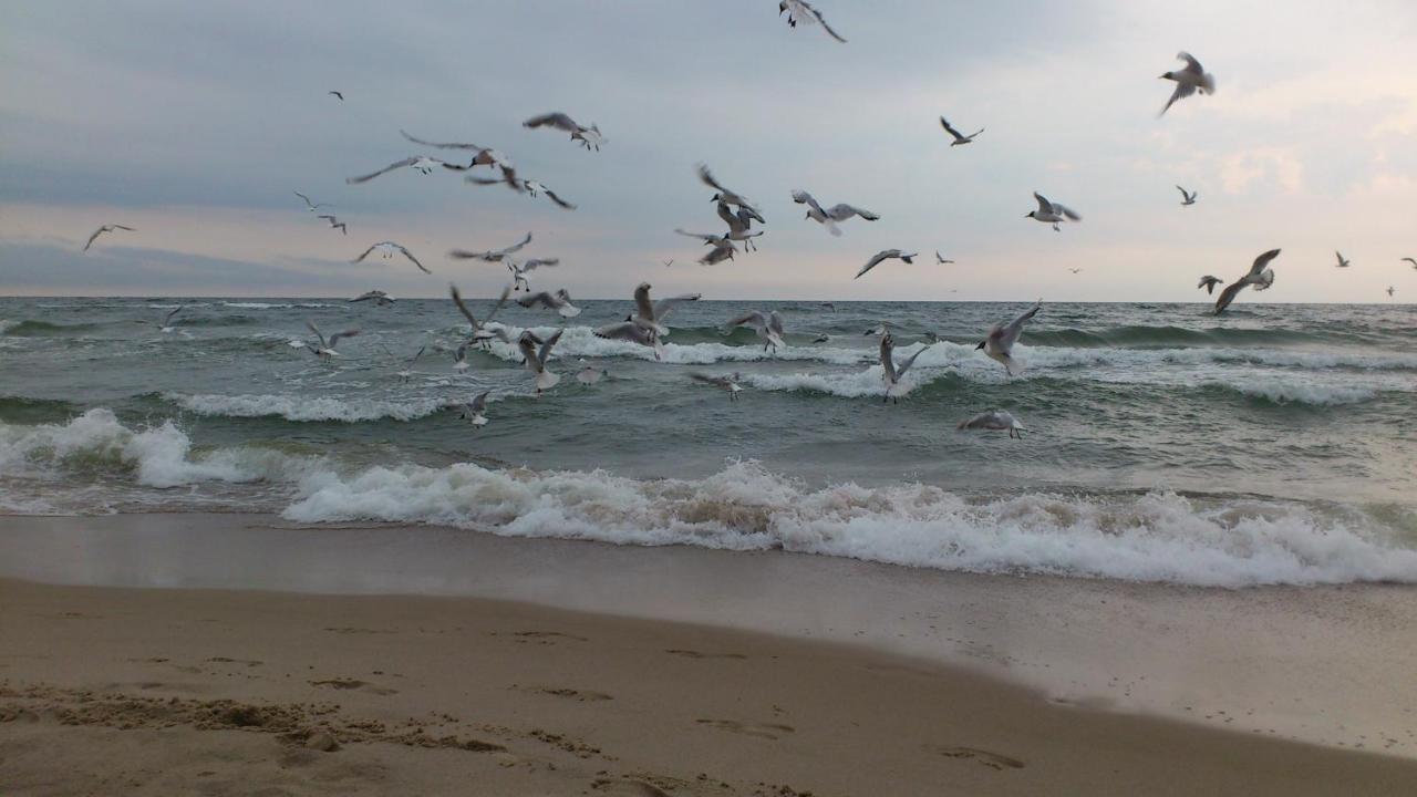 Pokoje Goscinne Fala Pobierowo Bagian luar foto